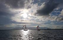 Foto’s seizoen 2020