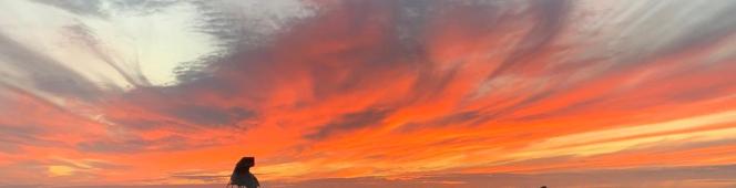 Foto’s seizoen 2022